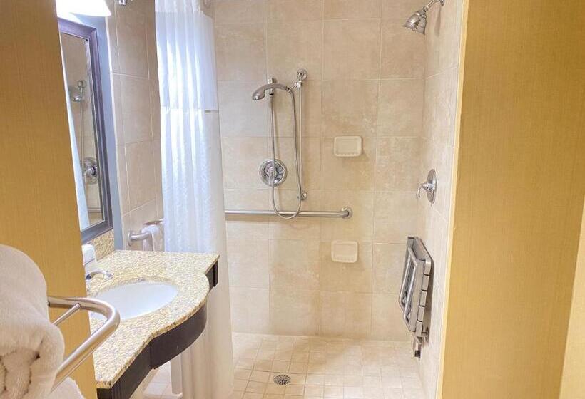 장애인을 위한 킹사이즈 침대 스탠다드 룸, Wingate By Wyndham State Arena Raleigh/cary