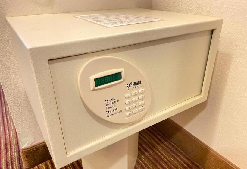 장애인을 위한 킹사이즈 침대 스탠다드 룸, Wingate By Wyndham State Arena Raleigh/cary