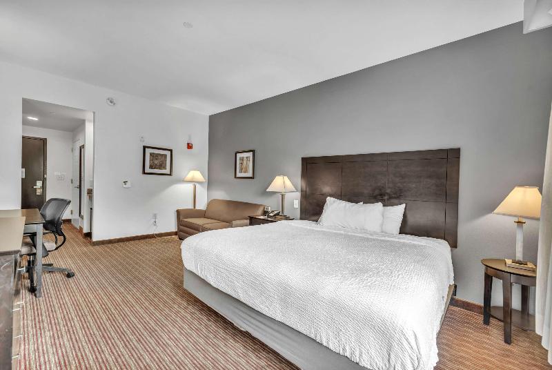 스탠다드 룸 킹사이즈 침대, Wingate By Wyndham State Arena Raleigh/cary