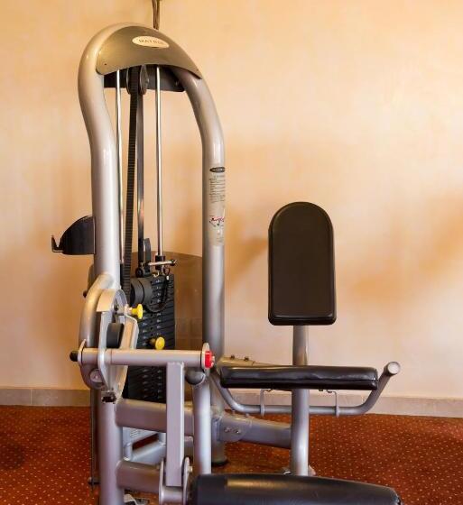 اتاق استاندارد یک نفره, Swiss Inn Plaza Hotel