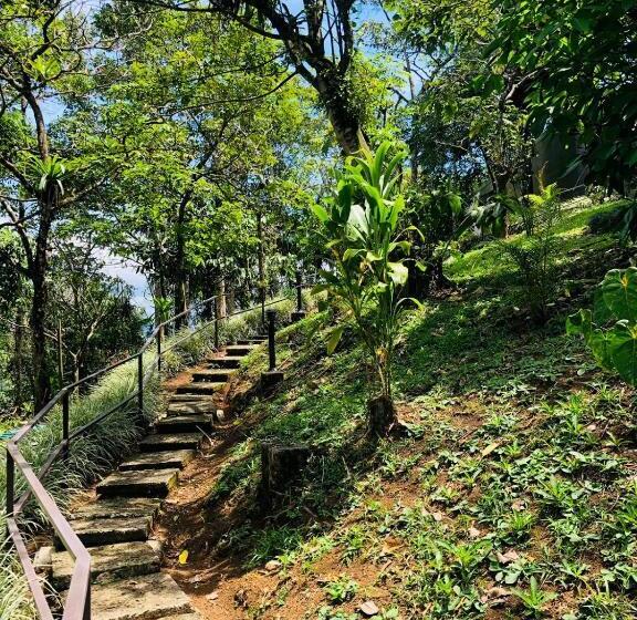 غرفة قياسية, ávita Lodge