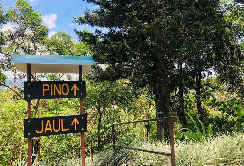 غرفة قياسية, ávita Lodge