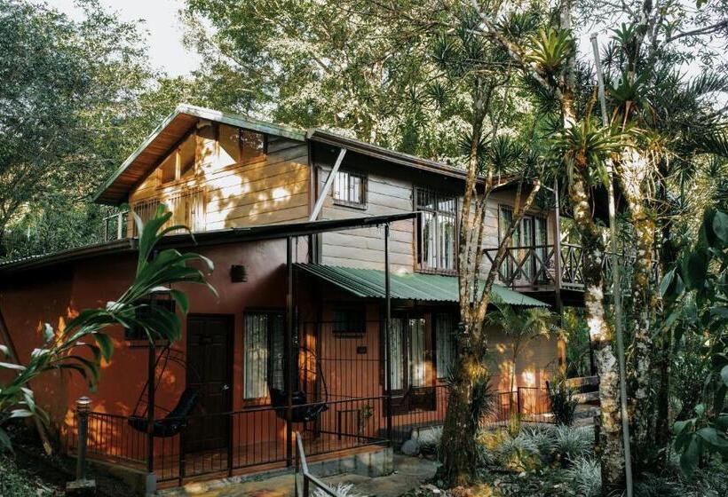 스탠다드 룸, ávita Lodge