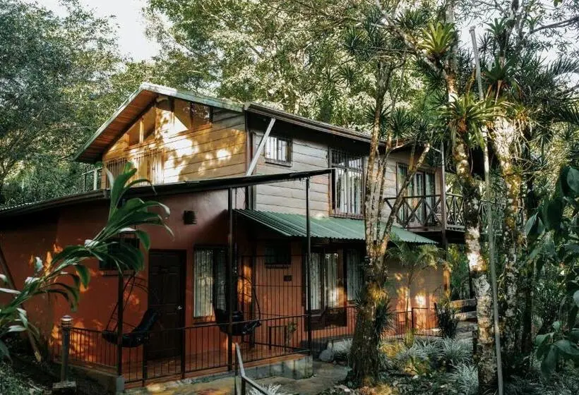 スタンダードルーム, ávita Lodge