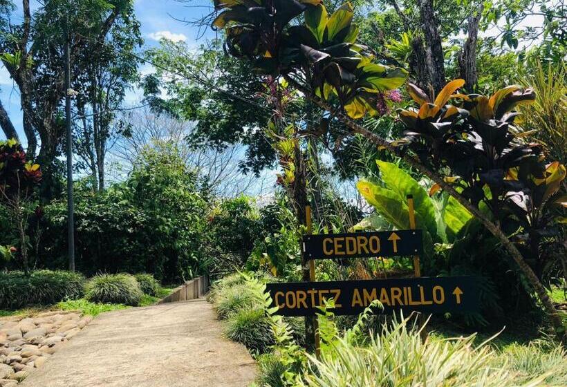 بنجلو سوبيريور, ávita Lodge