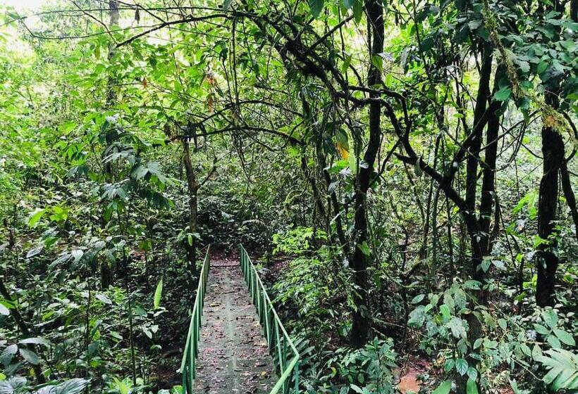 منزل 4 غرف نوم, ávita Lodge