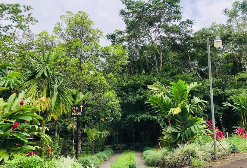 منزل 4 غرف نوم, ávita Lodge