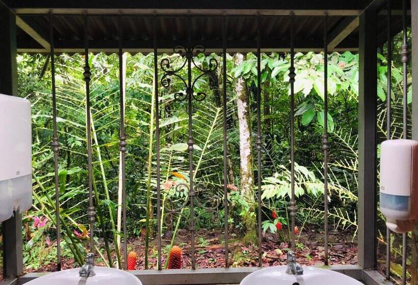 منزل 4 غرف نوم, ávita Lodge