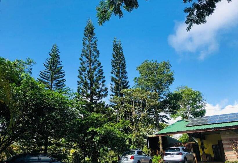 غرفة سوبيريور رباعية, ávita Lodge