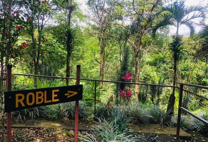 غرفة سوبيريور رباعية, ávita Lodge