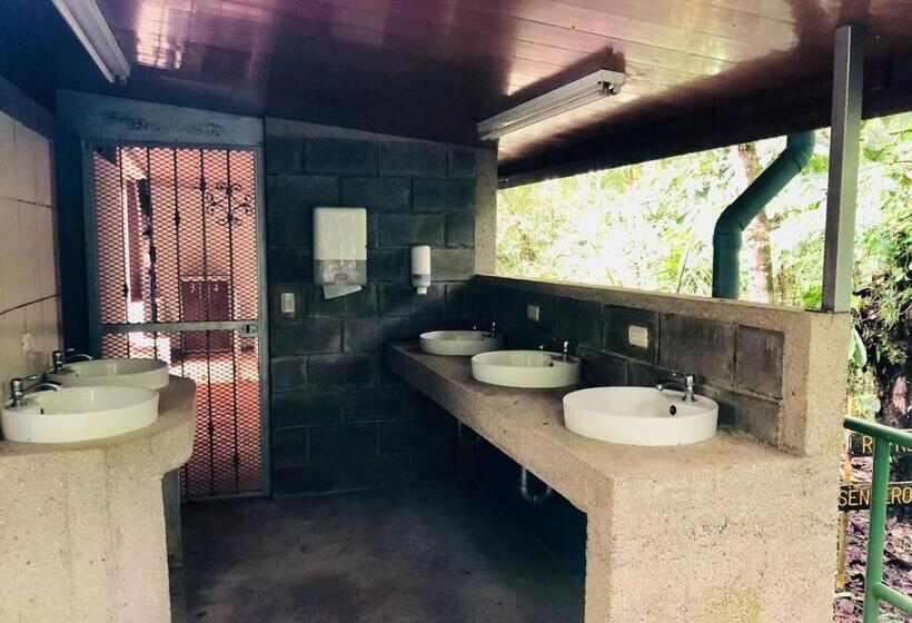 منزل 4 غرف نوم, ávita Lodge