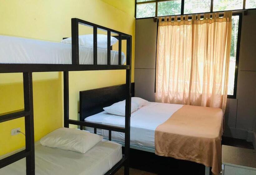 منزل 4 غرف نوم, ávita Lodge