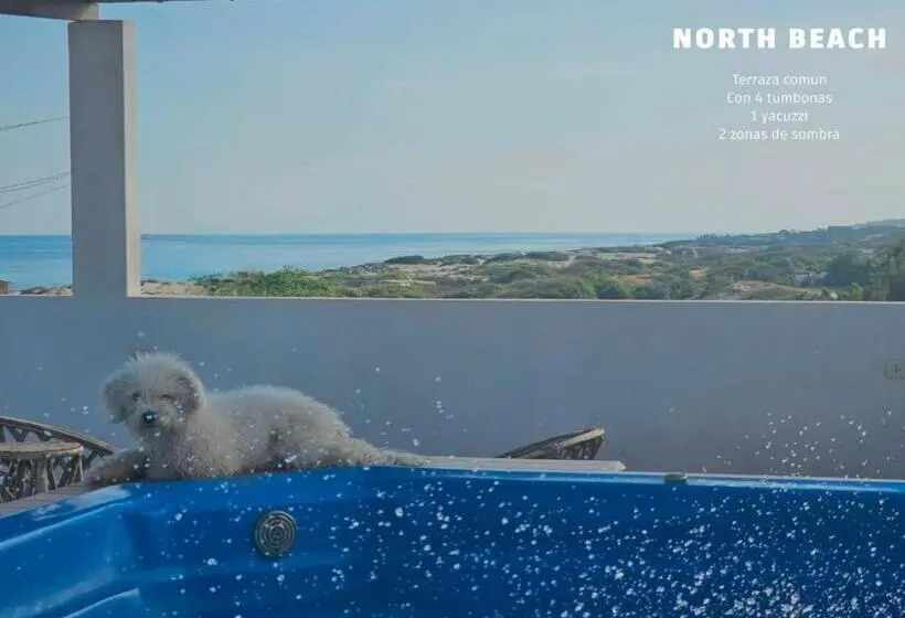 オーシャンビューのデラックストリプルルーム, Casa Norte North Beach