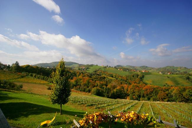 Номер Стандарт с Террасой, Gäste Und Vitalhaus Sauer