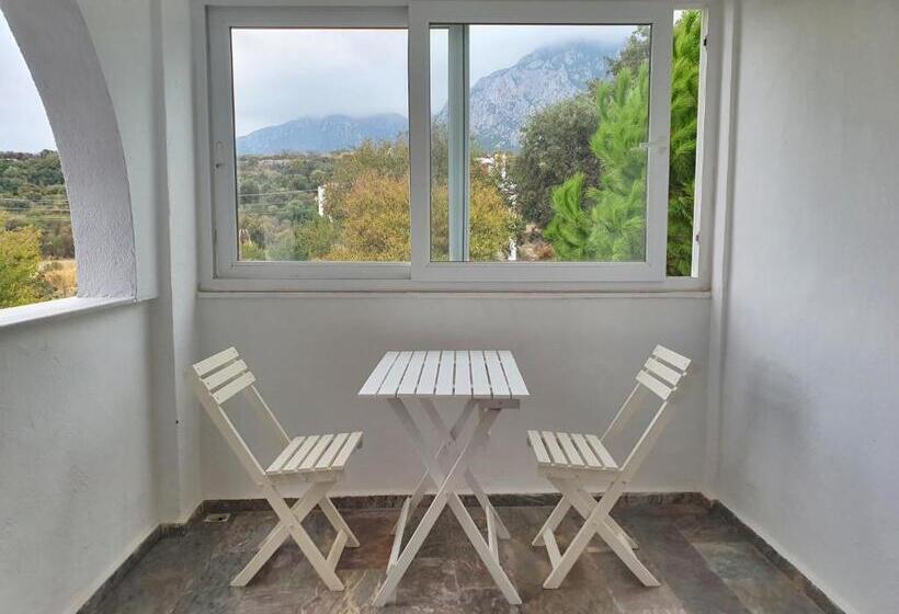 스탠다드 룸 킹사이즈 침대, Dilek Agaci Butik Otel