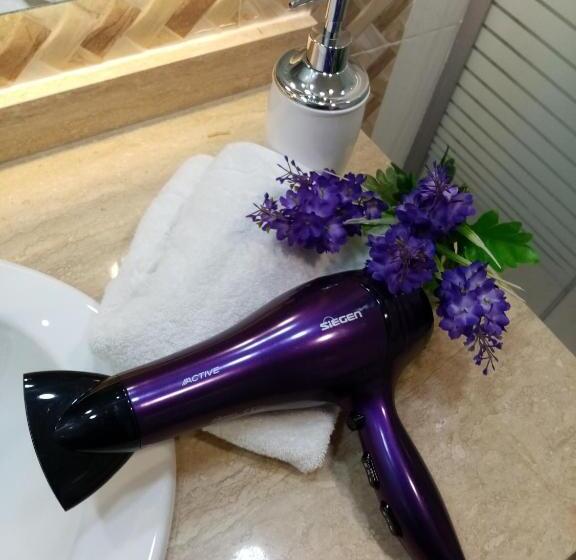 Executive Suite, Mont Suite Mte. Aguila