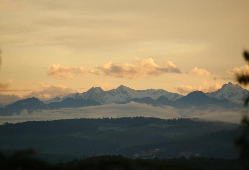 Апартаменты 1 Спальня, Treffhof