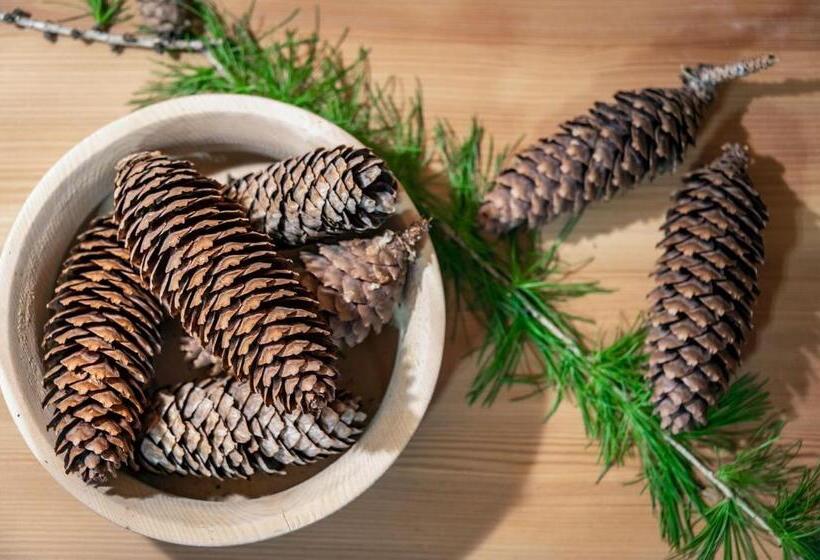 Апартаменты 2 Спальни, Treffhof