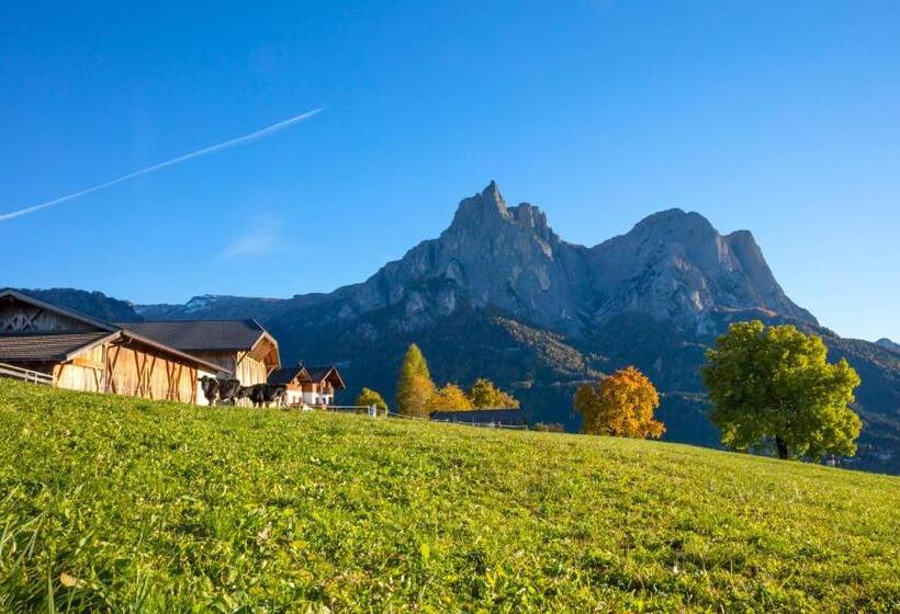 Апартаменты 1 Спальня, Treffhof