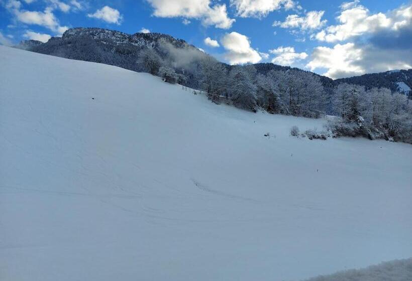 Апартаменты 2 Спальни, Treffhof