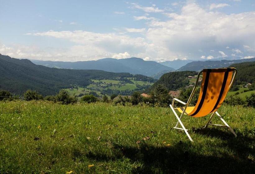 דירת שני חדרים, Treffhof