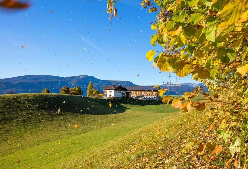 带3个卧室的公寓, Treffhof