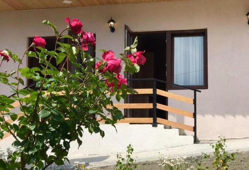 اتاق خانوادگی, Soso Burduli S Guesthouse