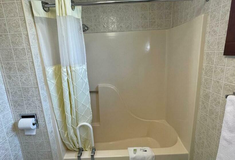 חדר סטנדרט, Belmont Motel