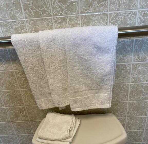 חדר סטנדרט מותאם לאדם עם מוגבלויות, Belmont Motel