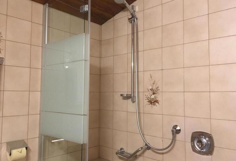 غرفة قياسية, Garni