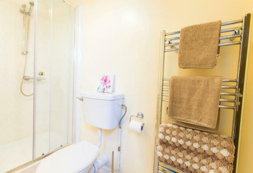 חדר סטנדרט, The Swan