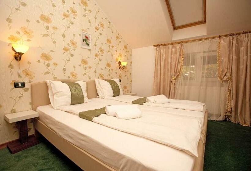 スタンダードシングルルーム, Pension Dinu Residence