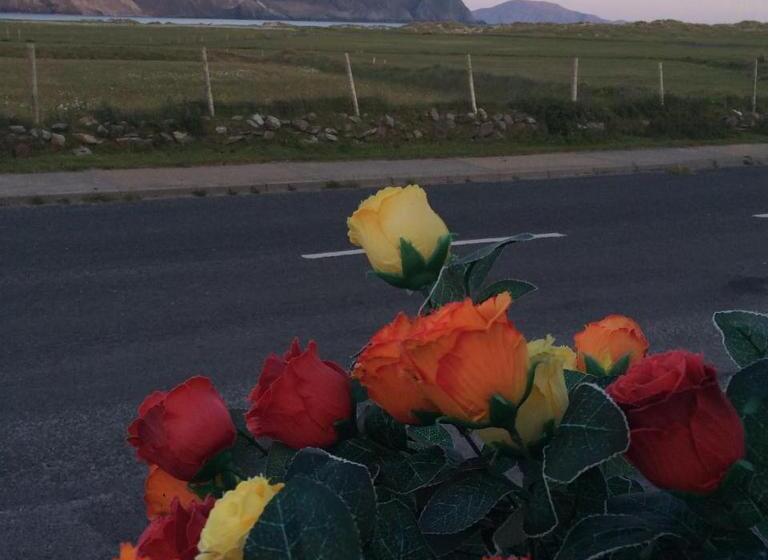 Номер Стандарт, Achill Cliff House Hotel & Restaurant