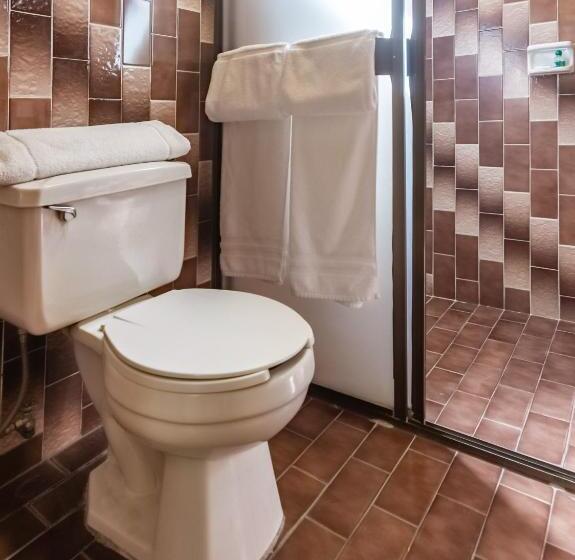 اتاق استاندارد, Capital O Mansión Los Arcos