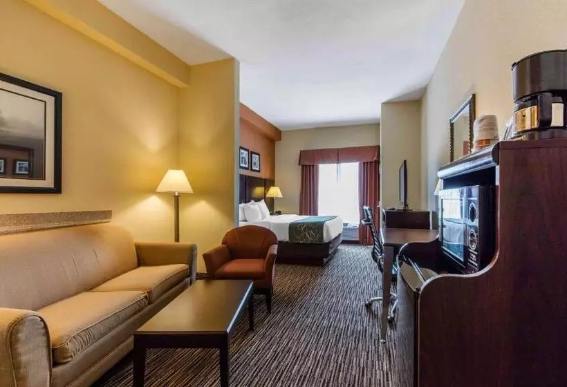 キングサイズベッドのスイートルーム, Comfort Suites