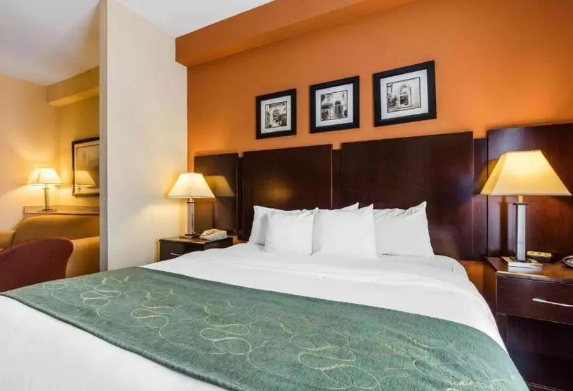 キングサイズベッドのスイートルーム, Comfort Suites