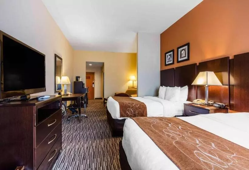 スタンダードルーム, Comfort Suites