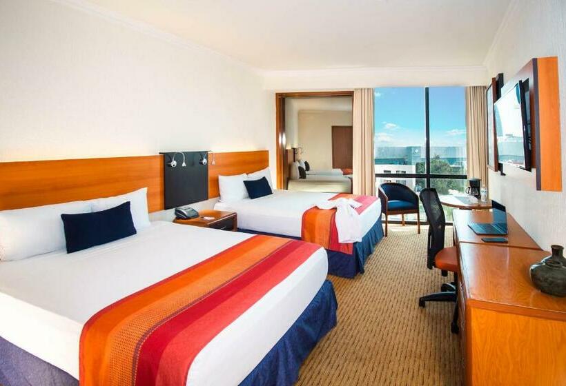 이그제큐티브 룸, Guadalajara Plaza Expo