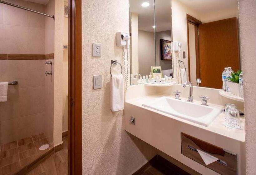 스탠다드 룸, Guadalajara Plaza Expo