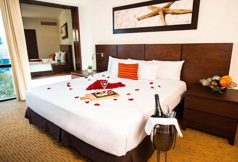 이그제큐티브 룸, Guadalajara Plaza Expo