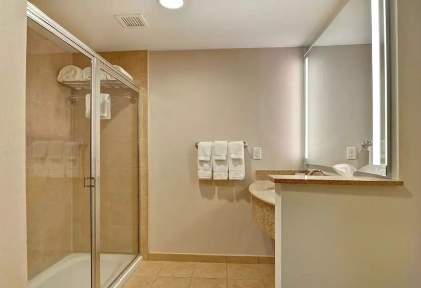 スタンダードルーム, Hilton Garden Inn Lake Buena Vista/orlando