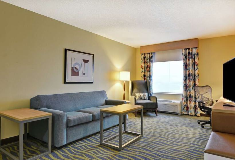 스탠다드 룸, Hilton Garden Inn Lake Buena Vista/orlando