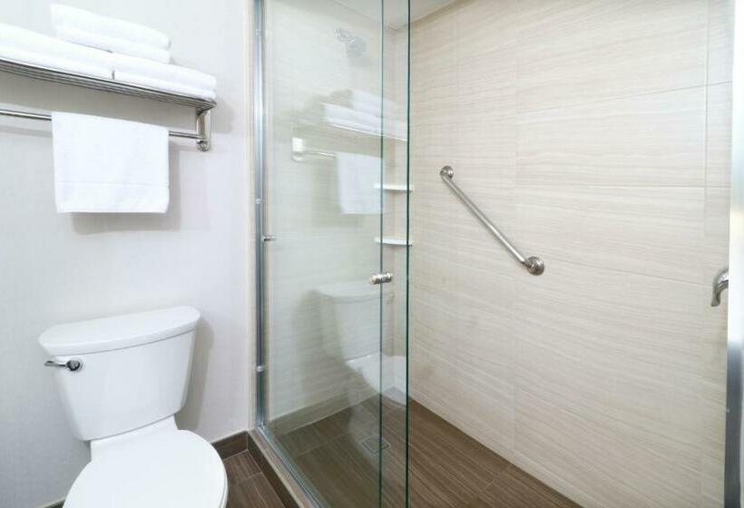 غرفة قياسية, Holiday Inn Tampico Altamira, An Ihg