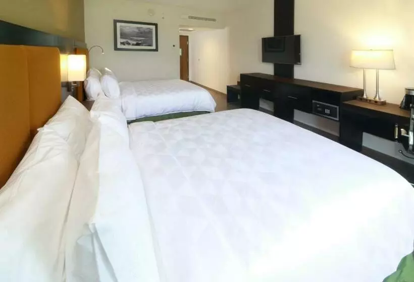 スタンダードルーム, Holiday Inn Tampico Altamira, An Ihg