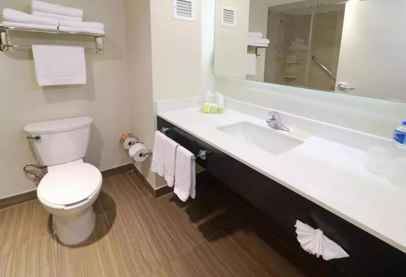 2ダブルベッドのスタンダードルーム, Holiday Inn Tampico Altamira, An Ihg