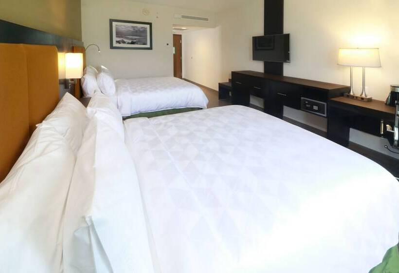 غرفه قياسيه سريرين مزدوجين, Holiday Inn Tampico Altamira, An Ihg
