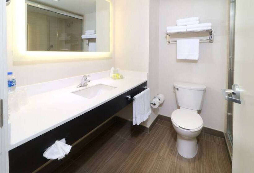 غرفه قياسيه سريرين مزدوجين, Holiday Inn Tampico Altamira, An Ihg