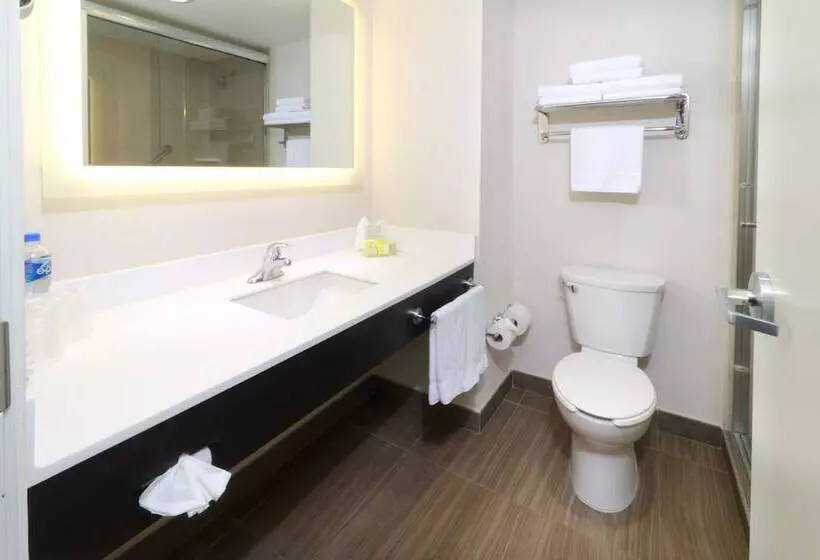 2ダブルベッドのスタンダードルーム, Holiday Inn Tampico Altamira, An Ihg