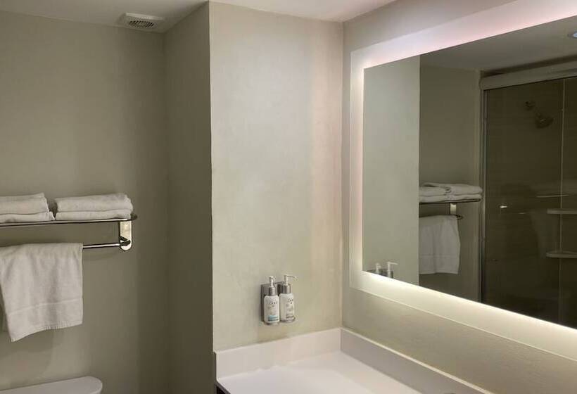 Номер Стандарт 2 Двуспальные Кровати, Holiday Inn Tampico Altamira, An Ihg