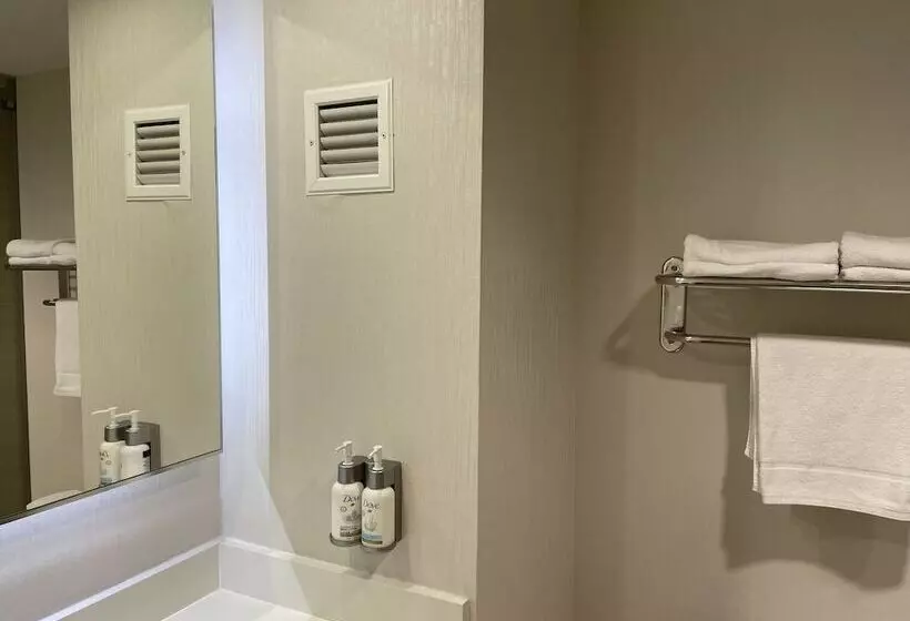2ダブルベッドのスタンダードルーム, Holiday Inn Tampico Altamira, An Ihg